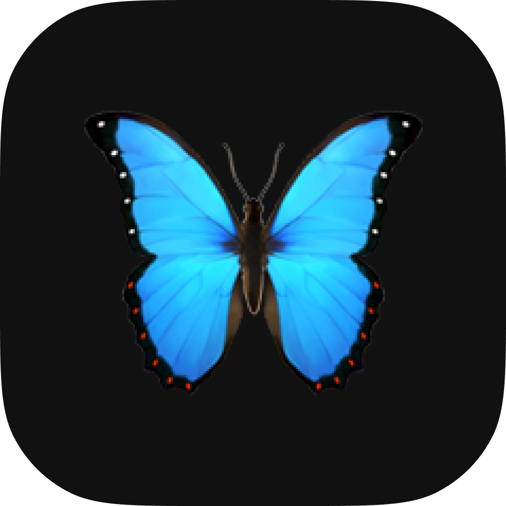 Buttrfly logo